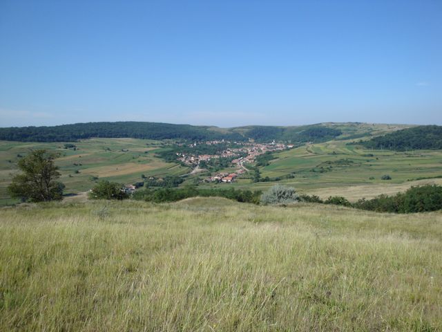 2015-08-09_Haschagen_033_HHM_640x480