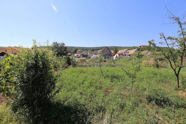 2015-08-09_Haschagen_043_JR_640x480